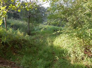 98 Copperhead Rd, Weston, WV 26452