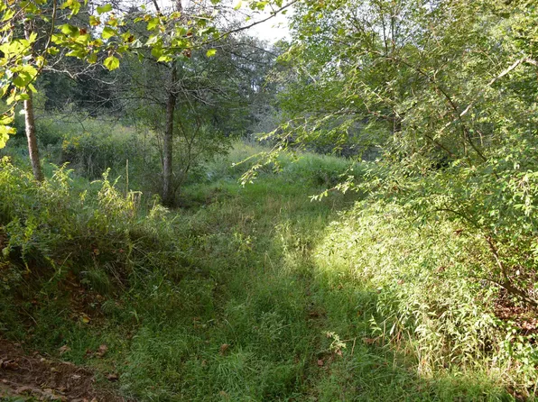 98 Copperhead Rd, Weston, WV 26452