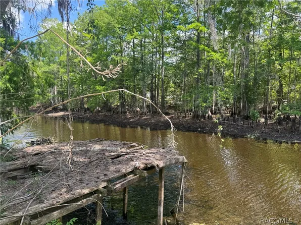 10500 E Gobbler Dr, Floral City, FL 34436