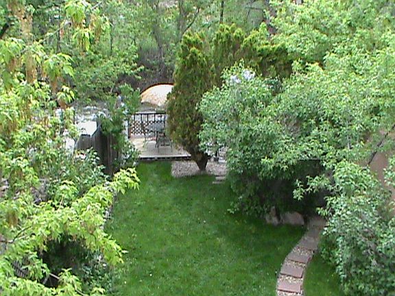 Fish in your own back yard