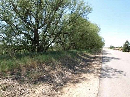5th image of 9473 Golden Willow St Lot 19