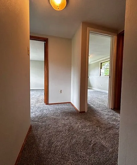 12407 Maple Ln — Photo 16