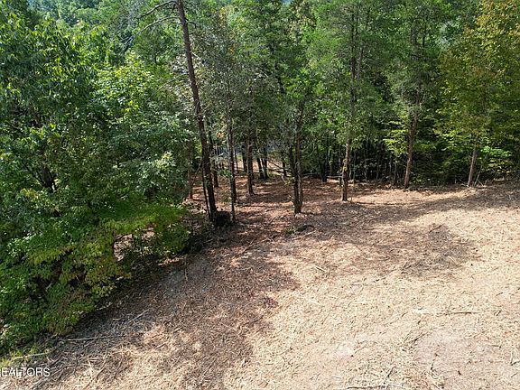 3rd image of 85 Stone Bridge Dr Lot 85