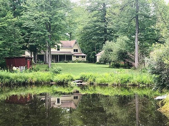 Back yard view 