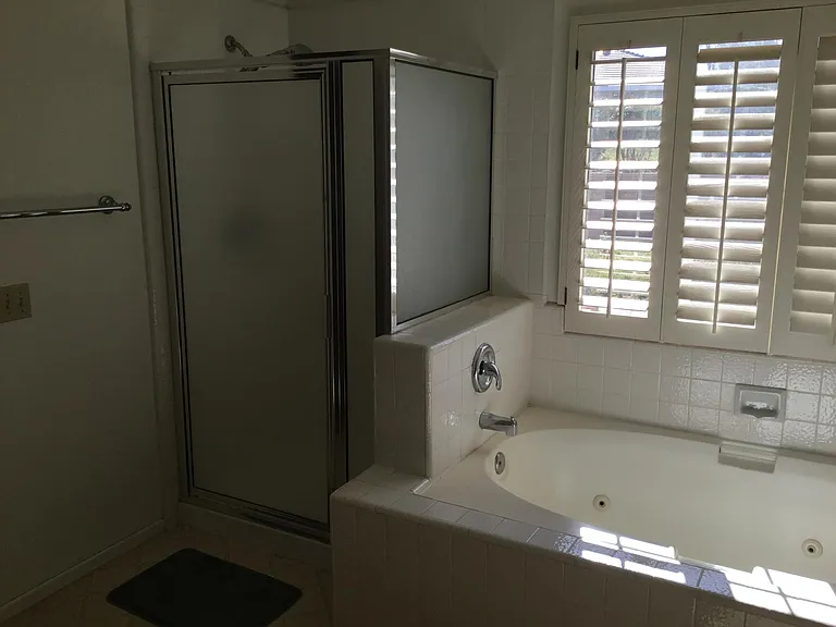 Master bathroom shower