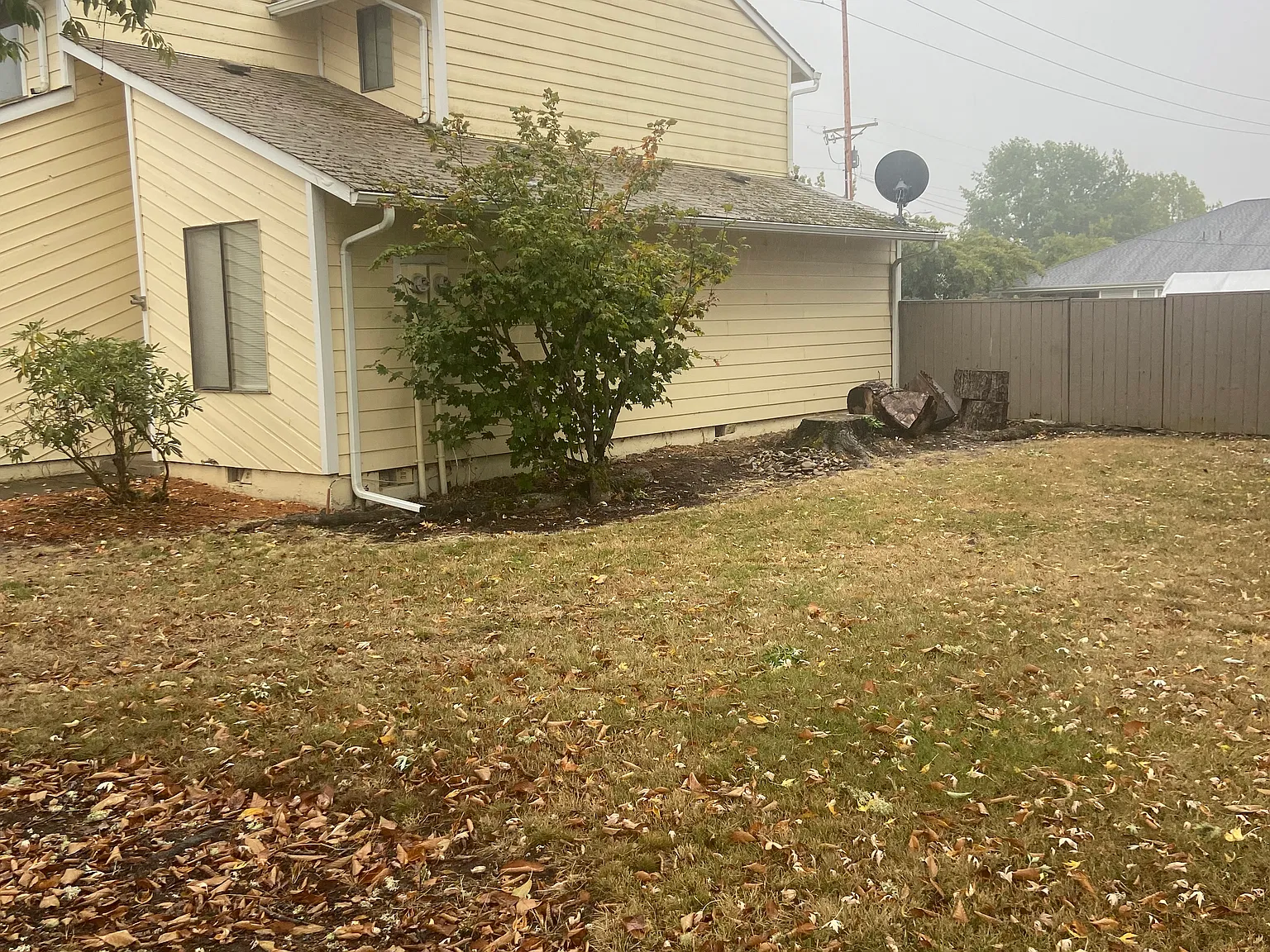 2 bed, 1100 sqft, $1,500 — Photo 3