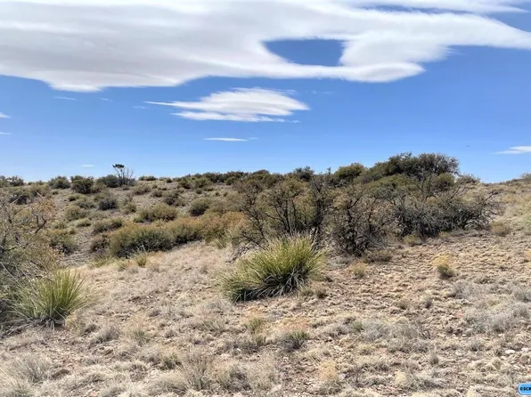 Xx Ridge Rd, Silver City, NM 88061