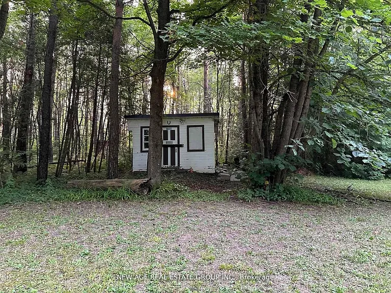 9031 Side Road 17 — Photo 13