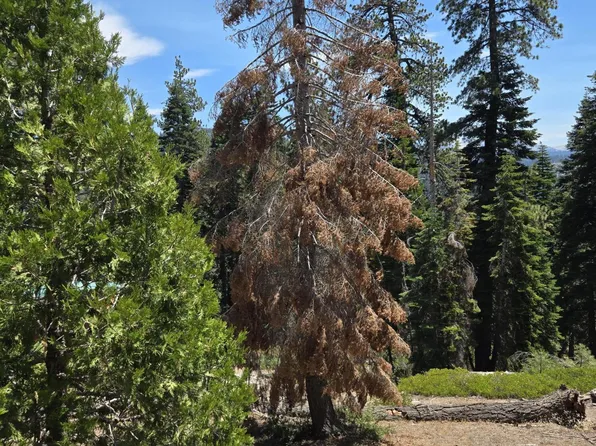 64949 Generals Highway, Sequoia National Park, CA 93633