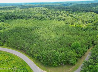 0 Parsons Rd, Wildersville, TN 38388