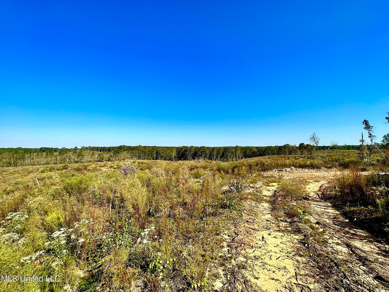 Mills Rd, Conehatta, MS 39057 Zillow