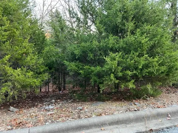 181 Samara Drive, Hollister, MO 65672