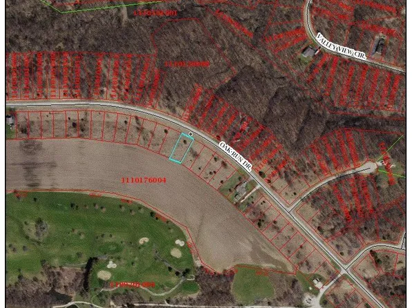 4075 Oak Run Dr, Dahinda, IL 61428