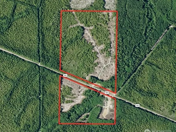 7507 Us Highway 101, Amanda Park, WA 98526
