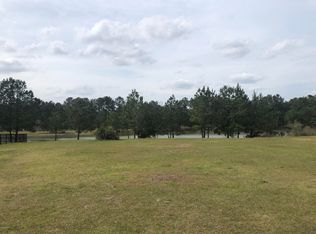 3012 Paddle Creek Dr, Green Cove Springs, FL 32043