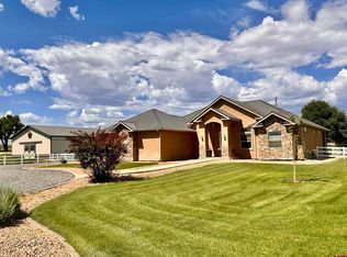 1889 Snaffle Bit Rd, Delta, CO 81416