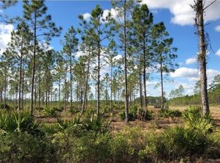 LOT 2 River Rd, Hilliard, FL 32046