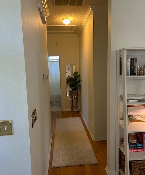 135 Revolution Dr — Photo 8