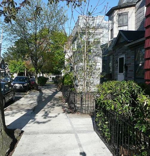 Tree Lined Street