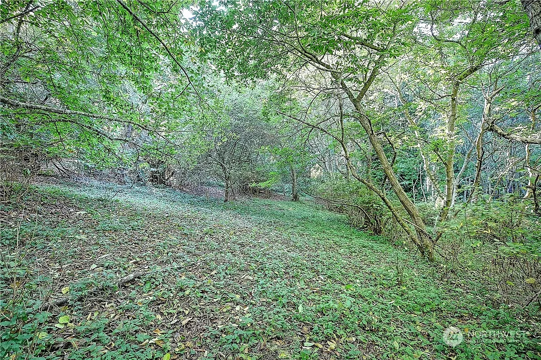 954 Valerie Drive photo 1