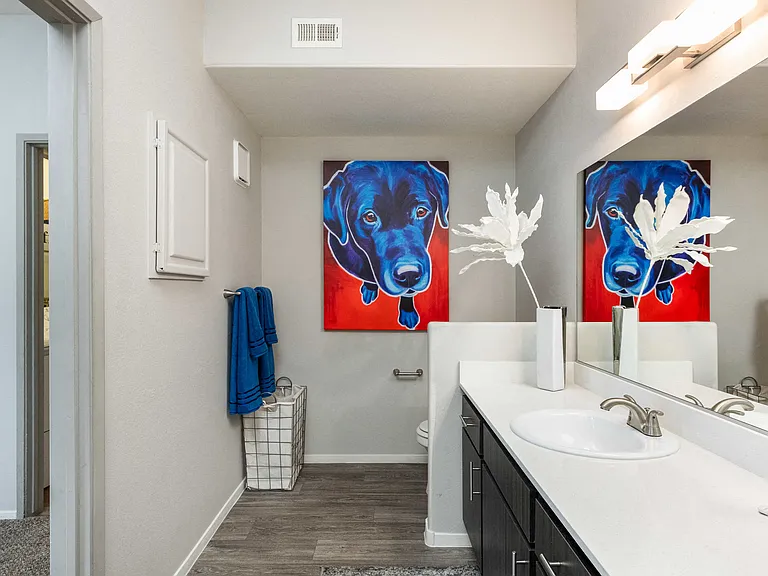 Ventana Canyon Apartments — Photo 12