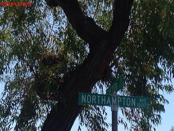 4th image of 10071 Northampton Ave