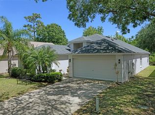 13405 Fawn Springs Dr, Tampa, FL 33626