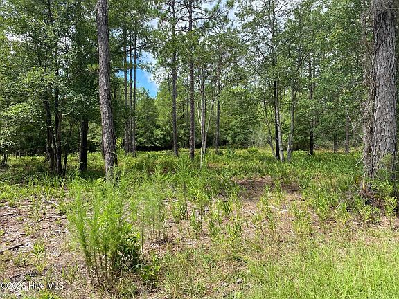 3rd image of 361 Ash Rd Lot 32&33