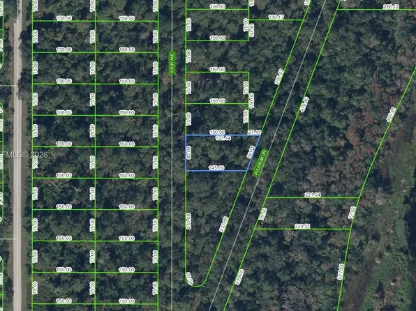 927 Kirby Ave, Lake Placid, FL 33852