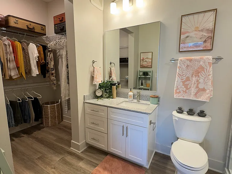 Discover the elegance of this modern bathroom equipped with a spacious walk-in closet.