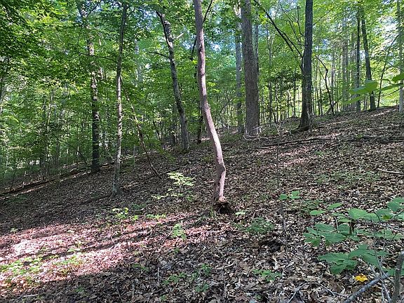 4th image of 28 Briarwood Ter