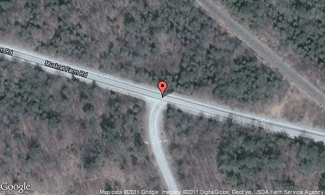 Map View
