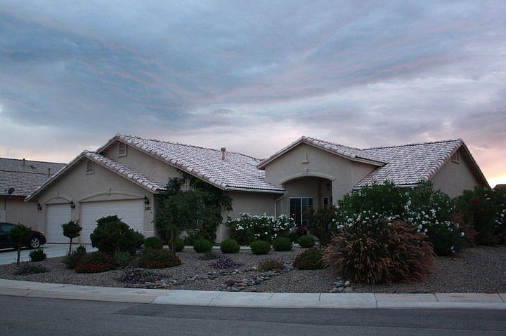 Front view - plants aged