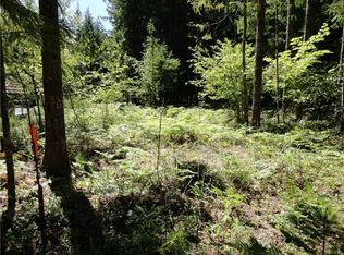 Aspen Ln, Packwood, WA 98361
