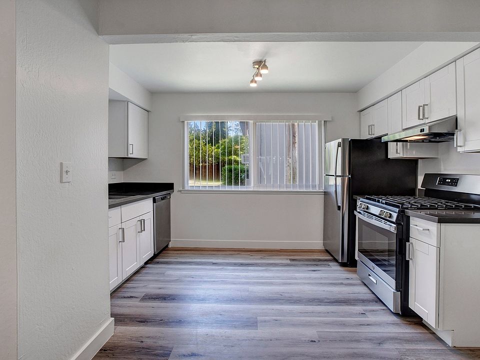 Modern and Upgraded Kitchen