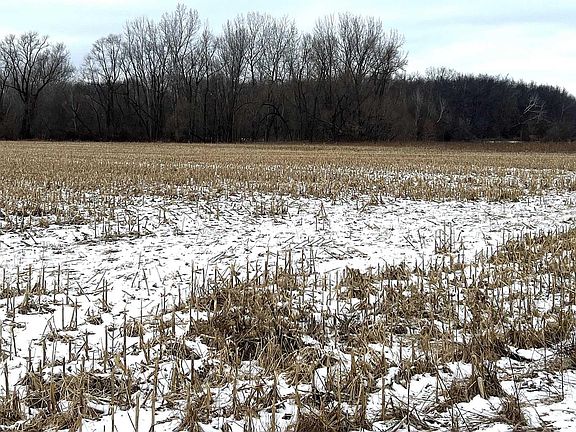 5th image of 2403 County Road 19