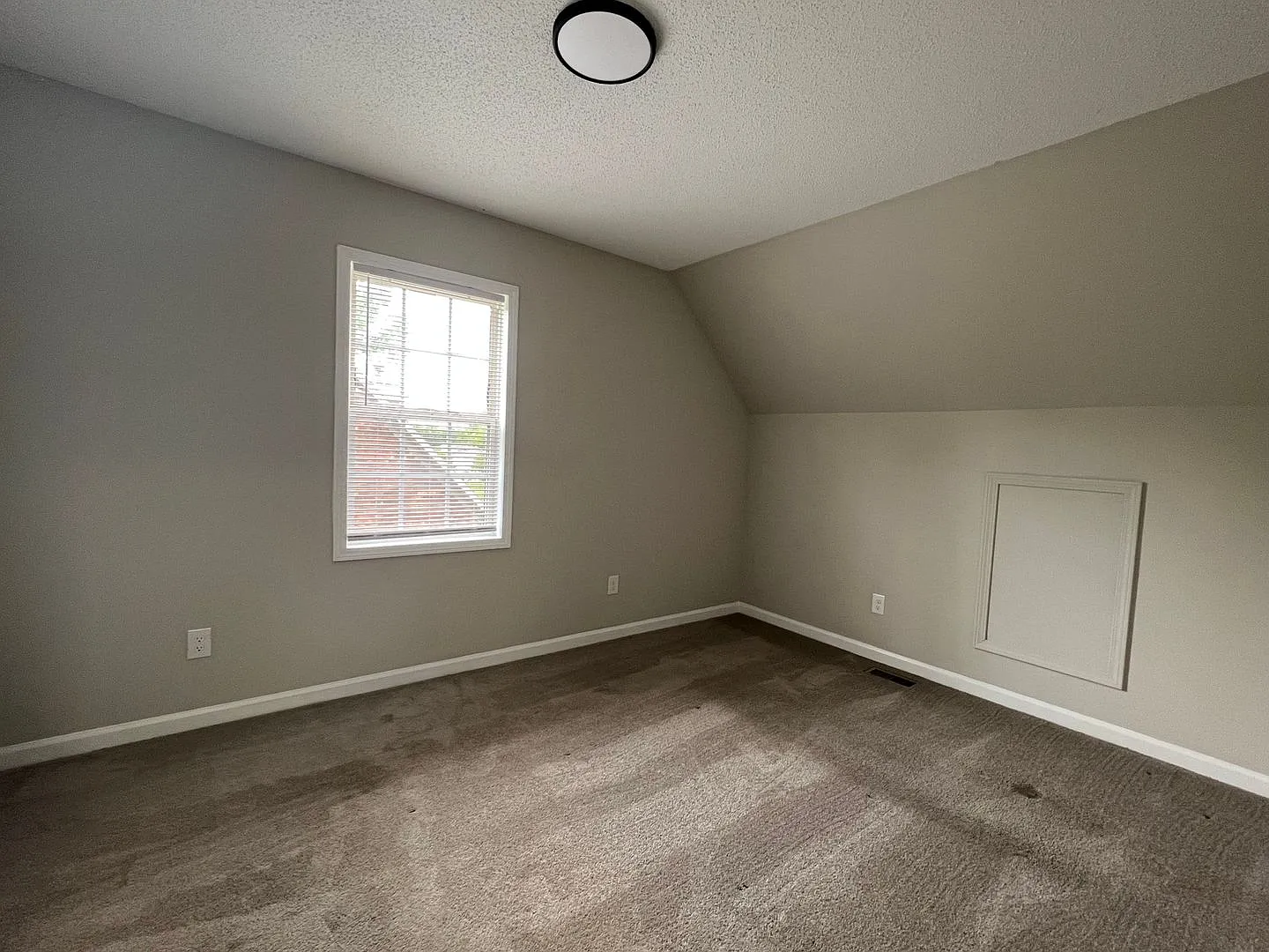 710 Dixie St — Photo 4