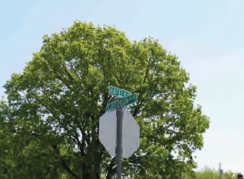 5th image of 400 Hafely Dr