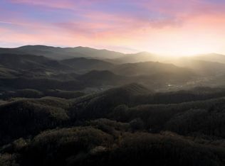 Tbd Buck Mountain Rd, Roan Mountain, TN 37687