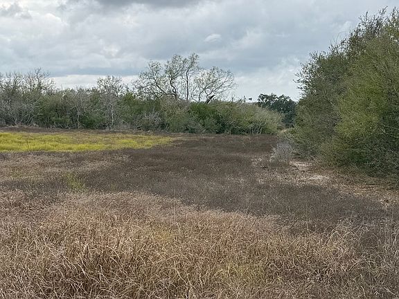 4th image of 4689 County Road 302