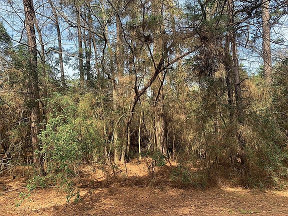 4th image of 19 Pavlock Rd Lot 19