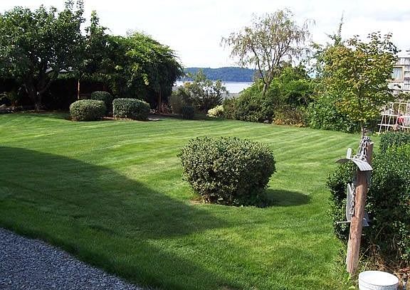 Back Yard North West