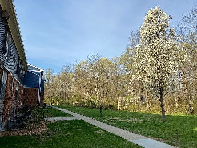 Day Heights Meadows — Photo 24