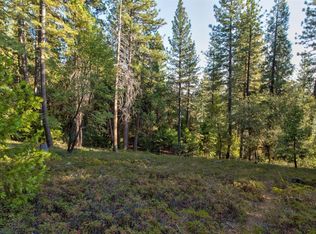 25696 Buckeye Rd, Pioneer, CA 95666