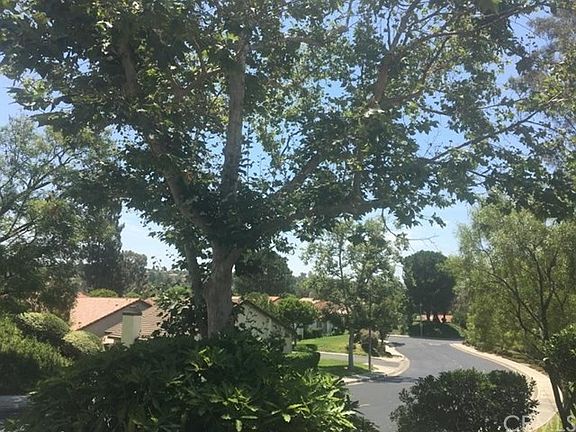 VIEW FROM BACK OF HOME