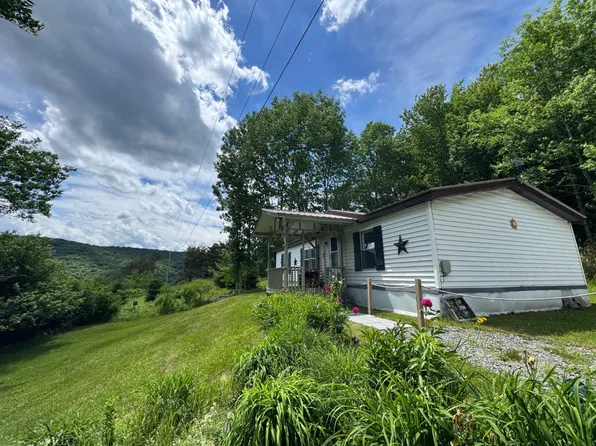 265 Dick Mason Rd, Delhi, NY 13753