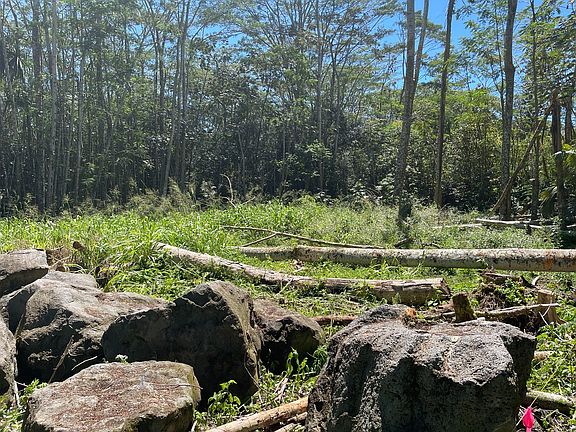 2nd image of 15-2894 Niuhi St Lot 1395