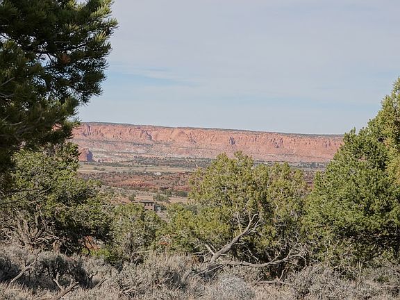 3rd image of 1115 E Donkey Flats Rd