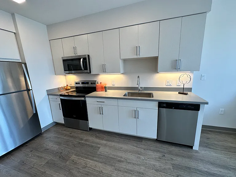 Red Oak at 409 Elm Street — Photo 45
