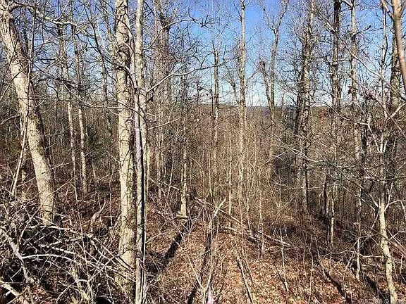 4th image of 2 Gaither Tract #2